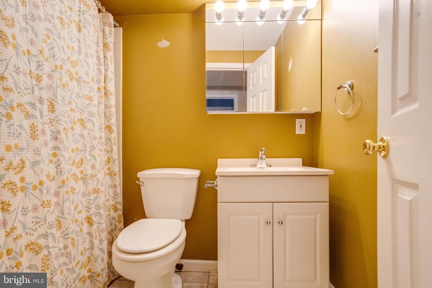 338 Delmar Court photo 34