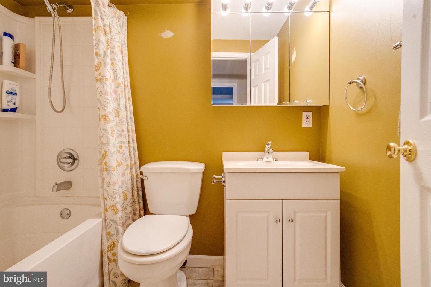 338 Delmar Court photo 35