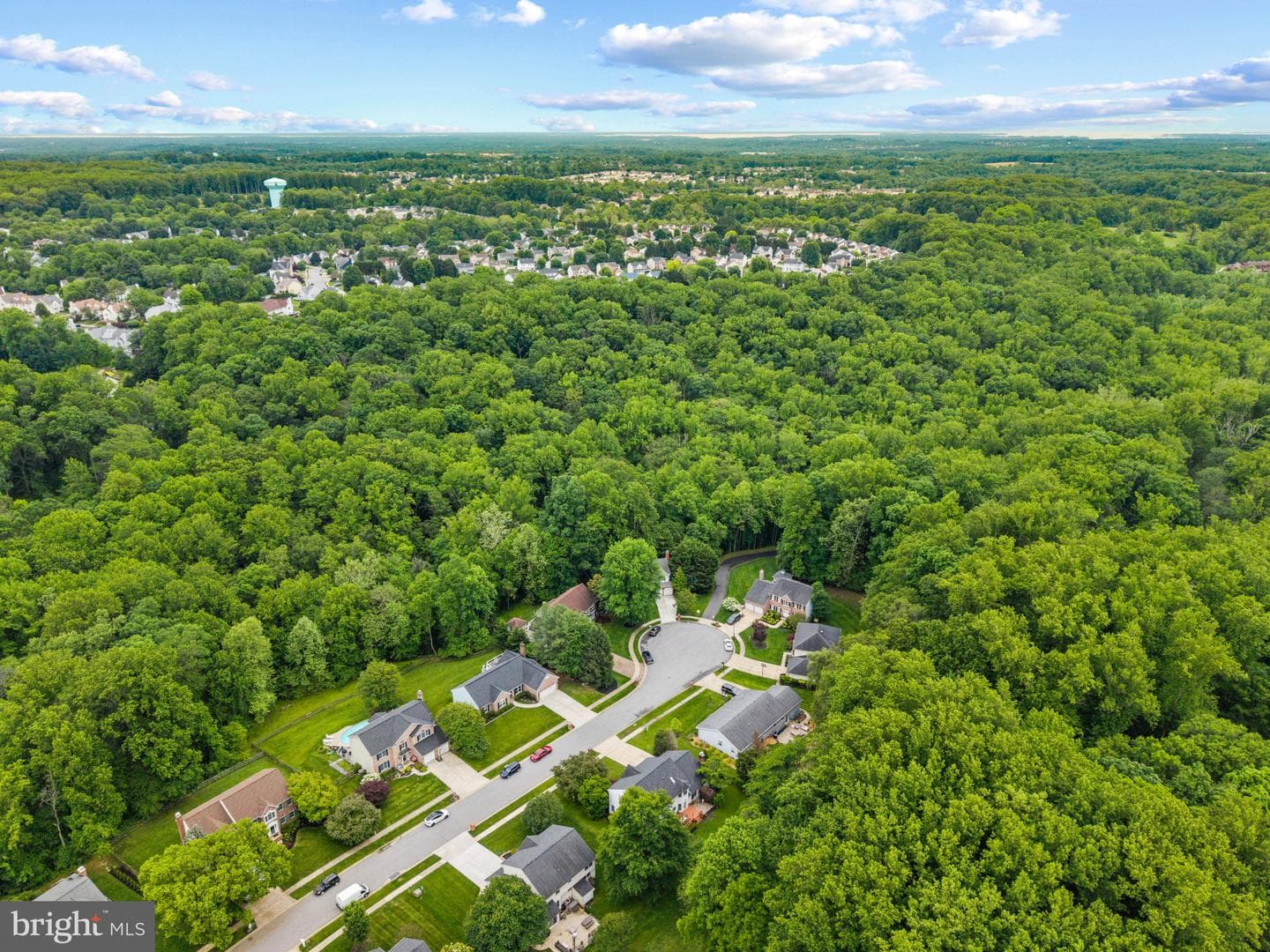 2014 Royal Fern Court photo 46