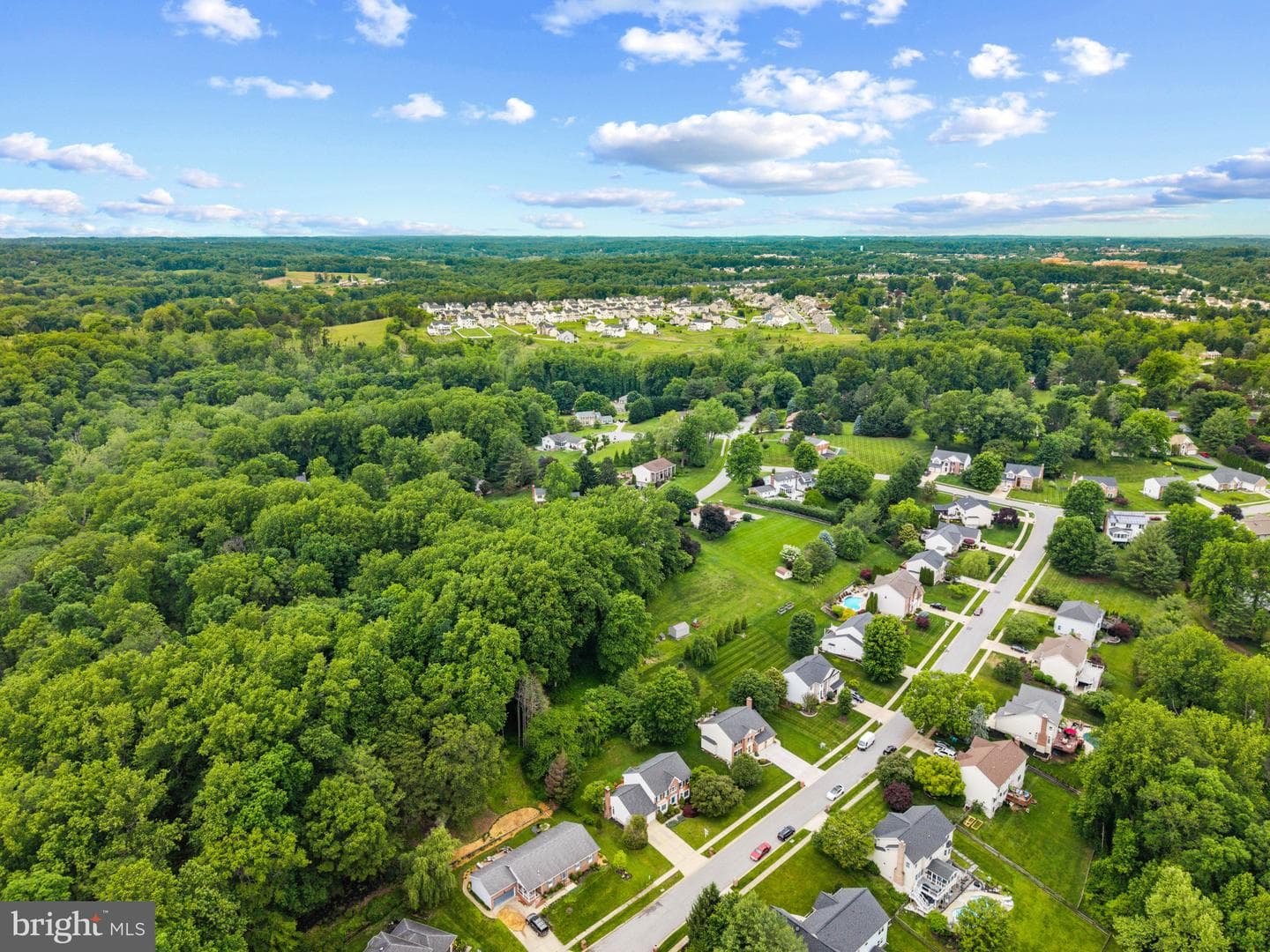2014 Royal Fern Court photo 48
