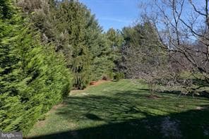 2823 Orchard Lakes Drive photo 21