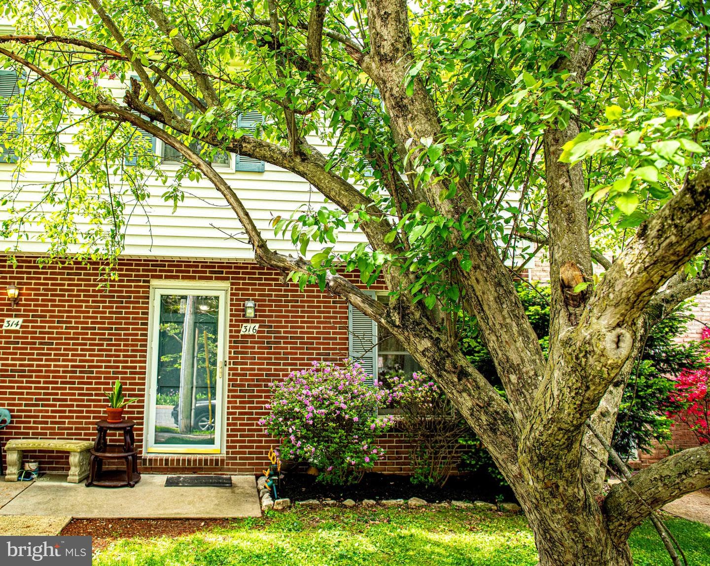 316 Franklin Street #316 photo 4