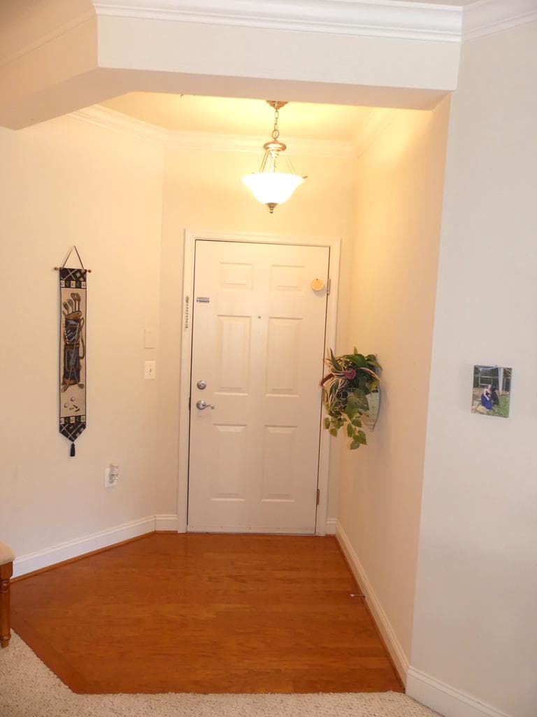 305 Tiree Ct # 201 photo 9