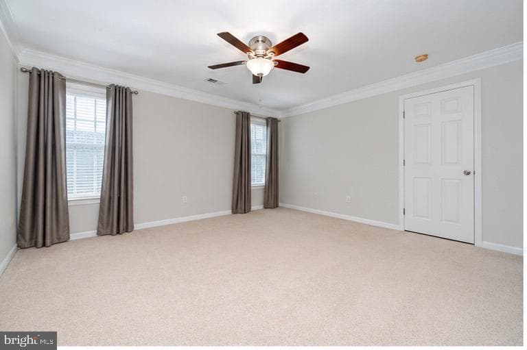 107 Steed Lane photo 26