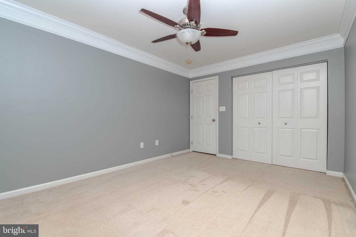 107 Steed Lane photo 34