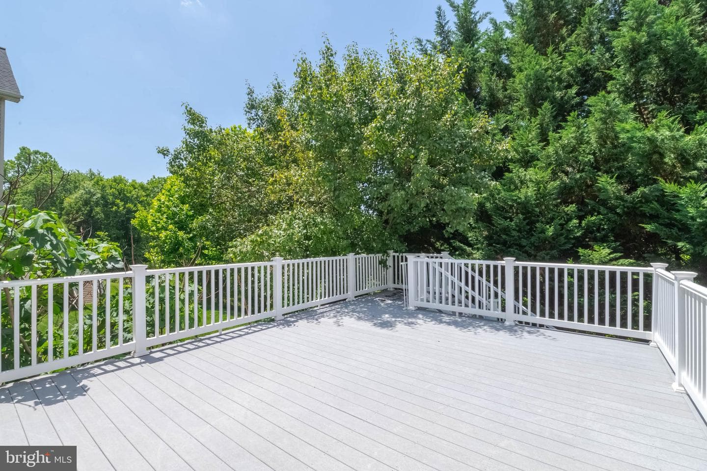 442 Clydebank Dr photo 30