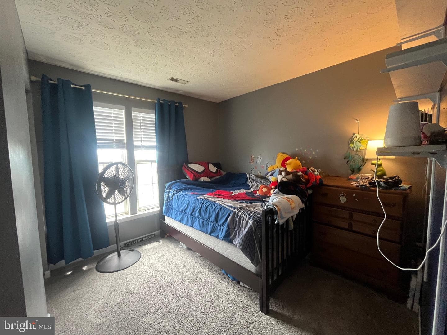 514 Macintosh Circle photo 17