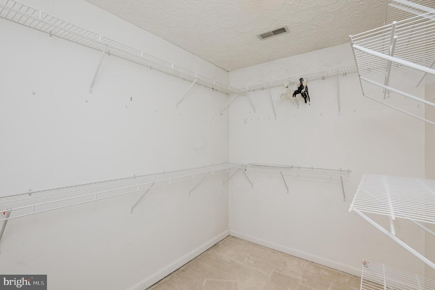 556 Macintosh Circle photo 18
