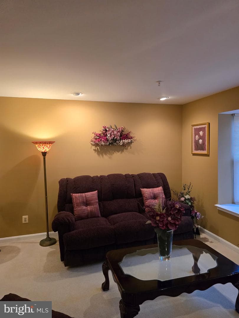 217 Ferring Court photo 14