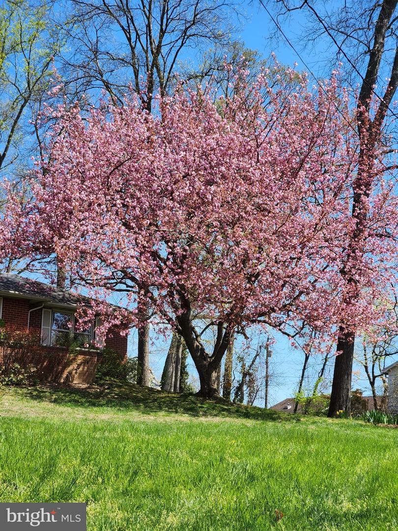 2911 Nelson Lane photo 78