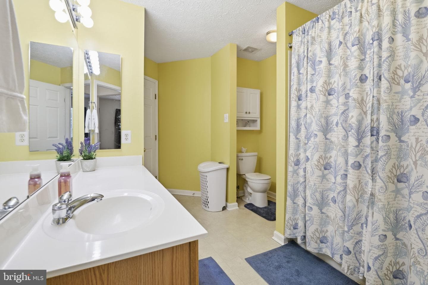 5080 Bristle Cone Court photo 16