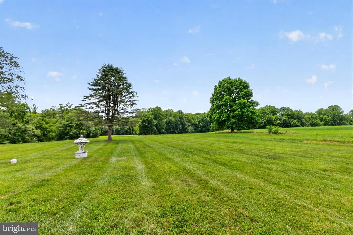 314 Reckord Road photo 39