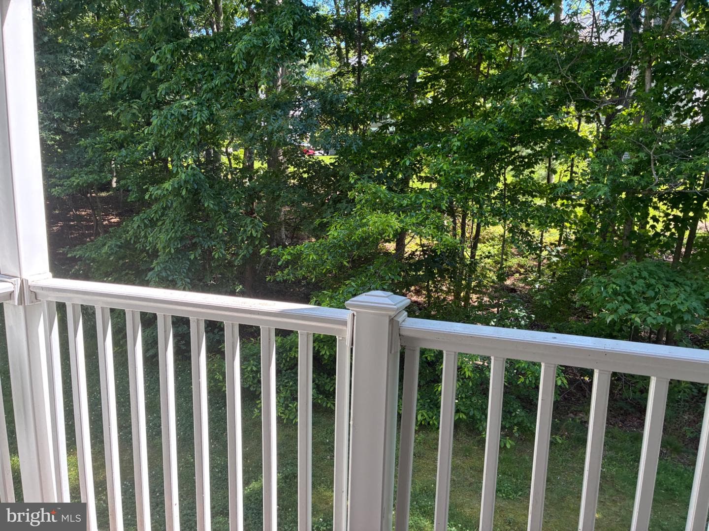903 Woodbridge Court #f photo 16