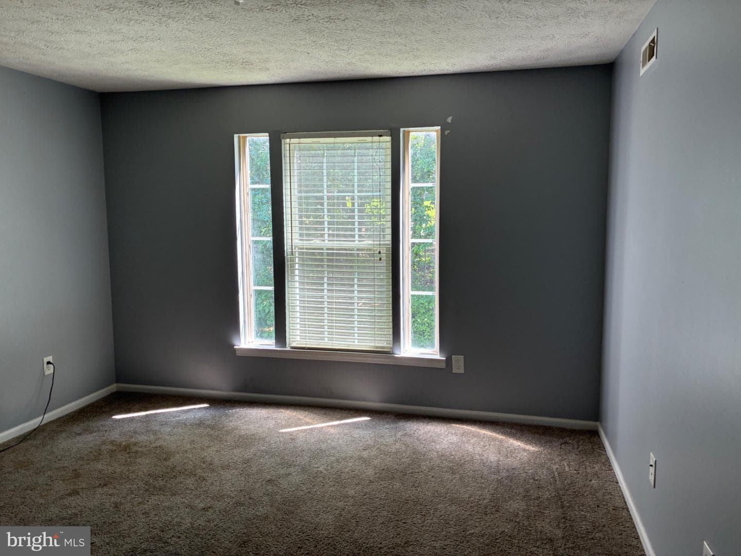 903 Woodbridge Court #f photo 24