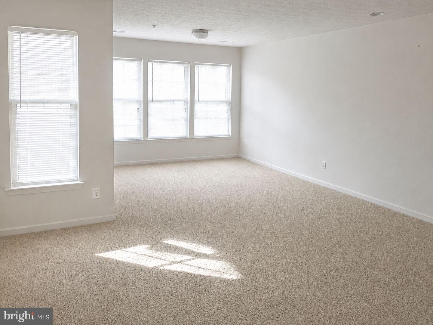 4817 Limestone Court photo 20