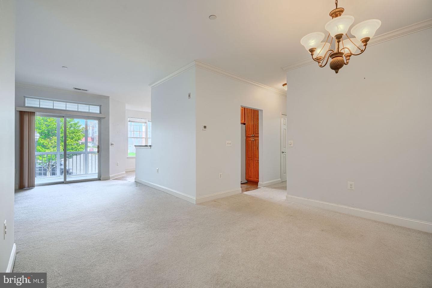1604 Martha Court #201 photo 4