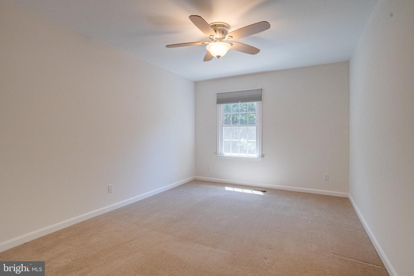 1301 Littlefield Place photo 49