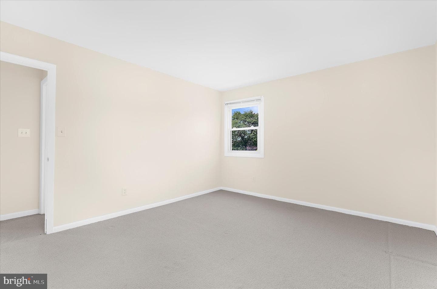 35 Neptune Drive photo 51