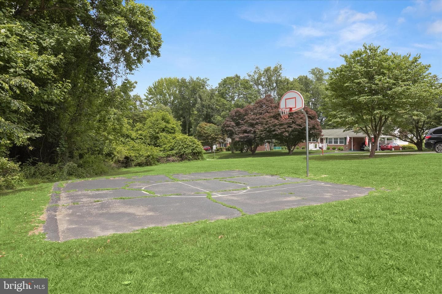 12 Vermont Place photo 55