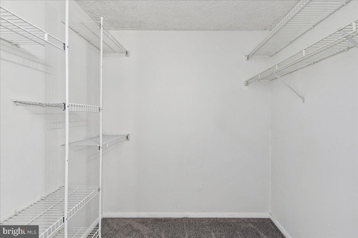 3113 Holly Berry Court photo 20