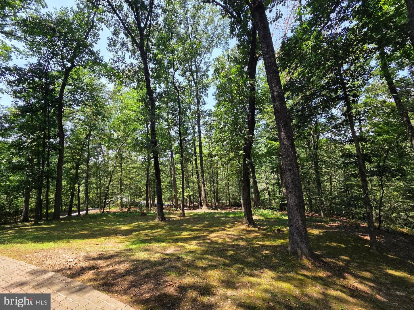 901 Southampton Road photo 27