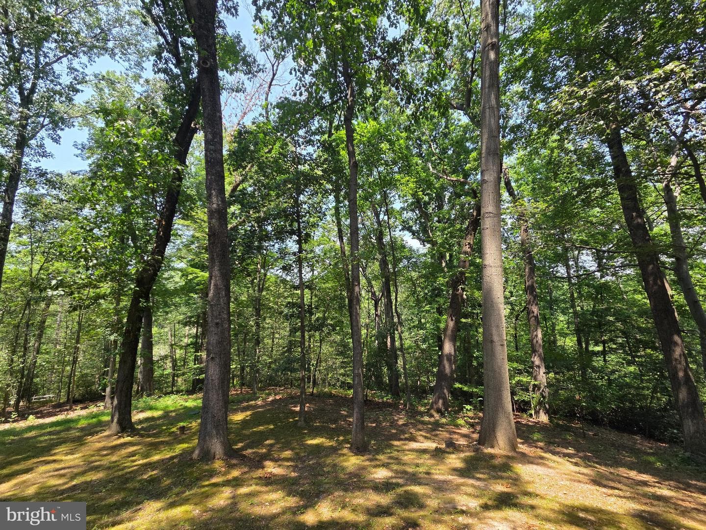 901 Southampton Road photo 28