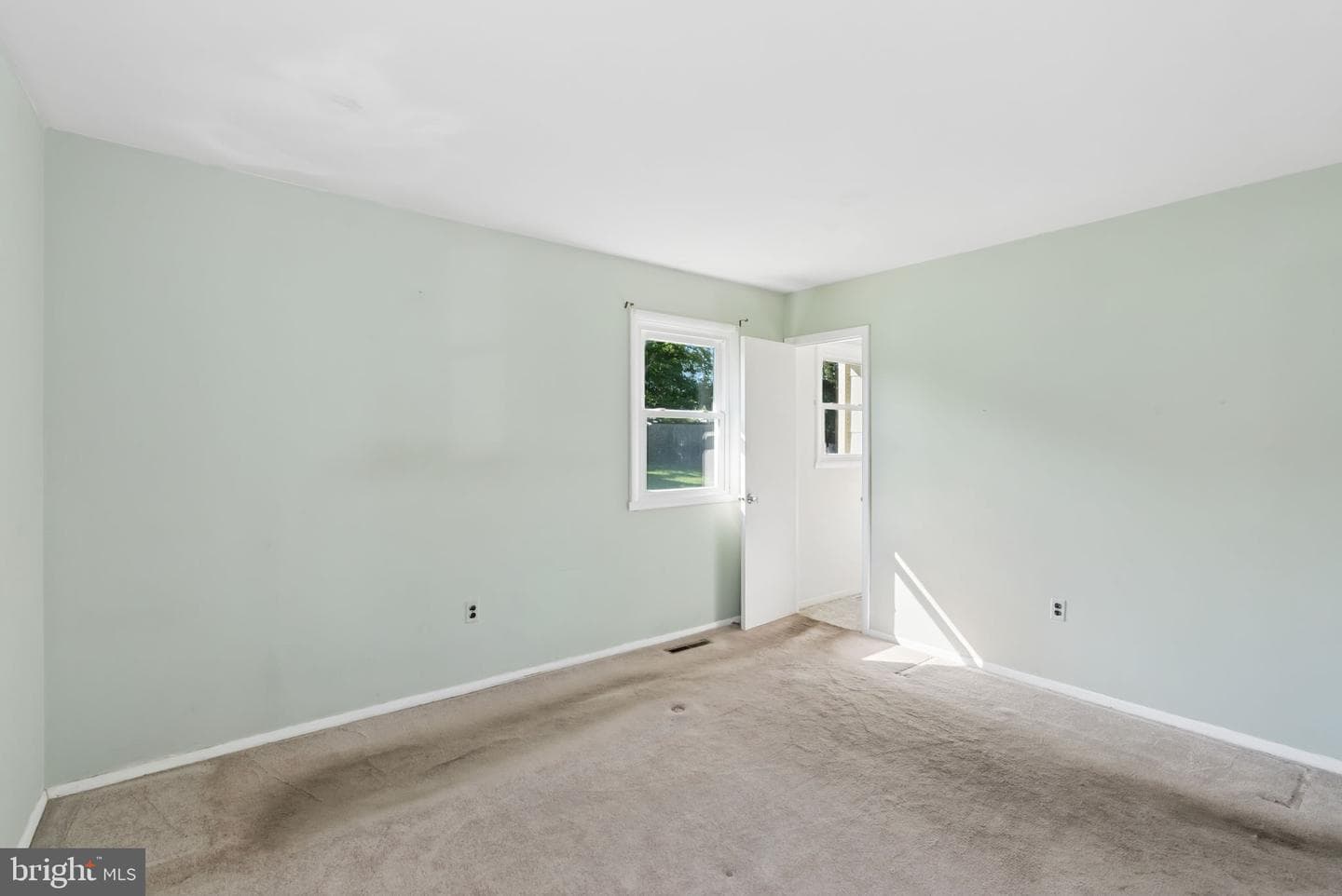209 Bright Oaks Drive photo 19