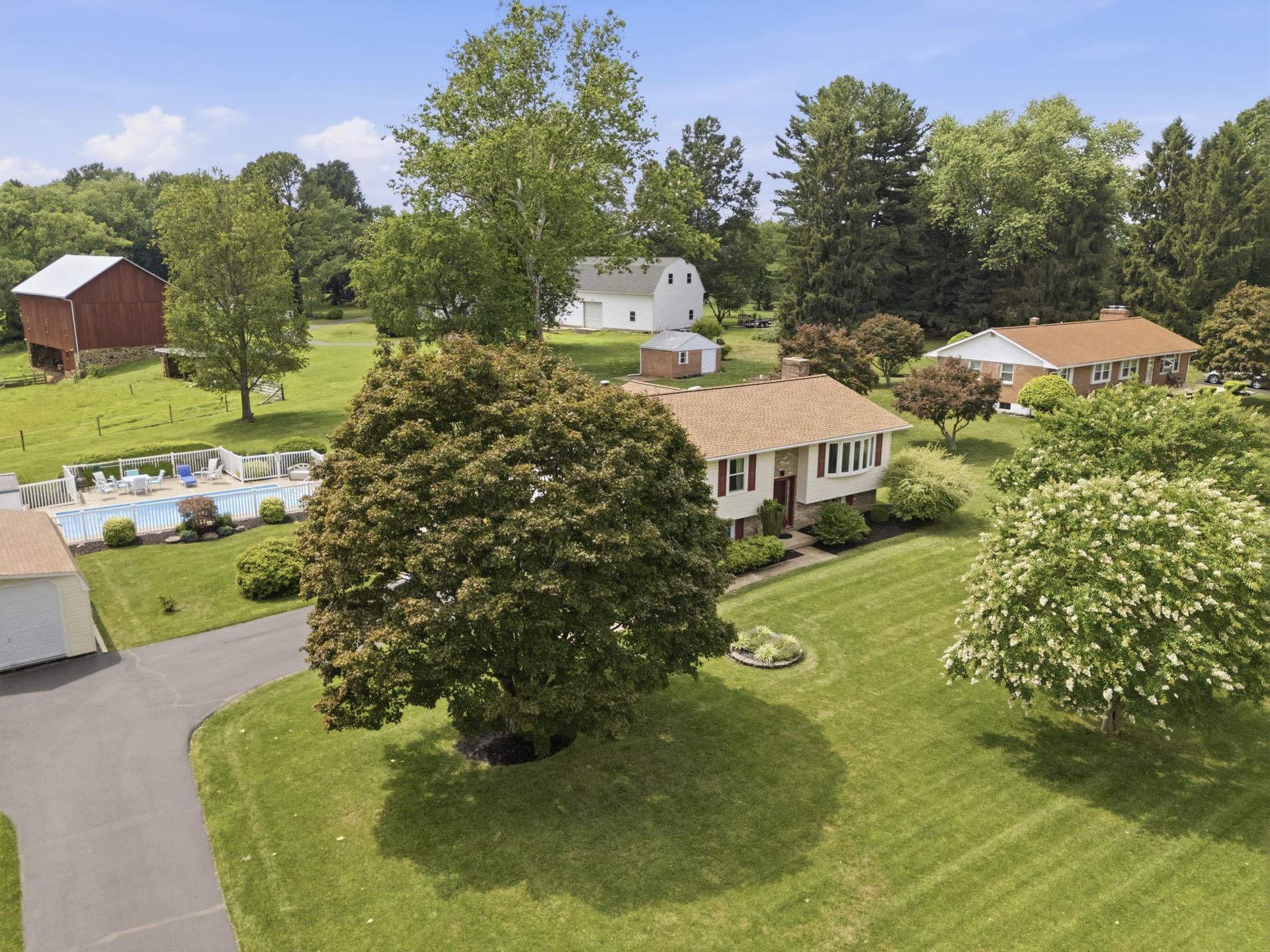 8 Fairhill Road photo 41