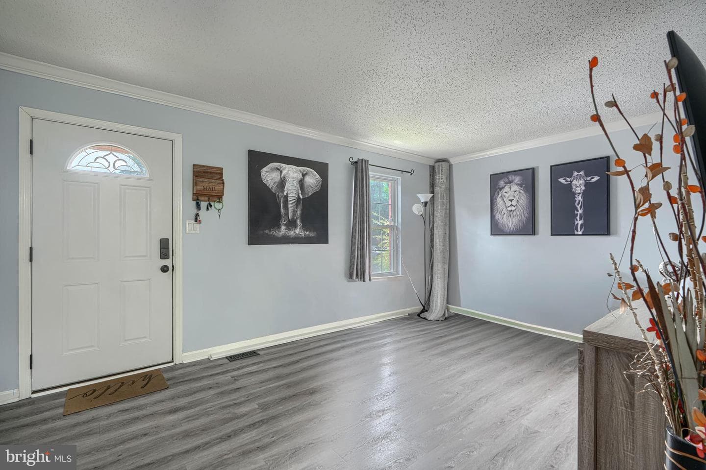 3633 Torey Lane photo 5