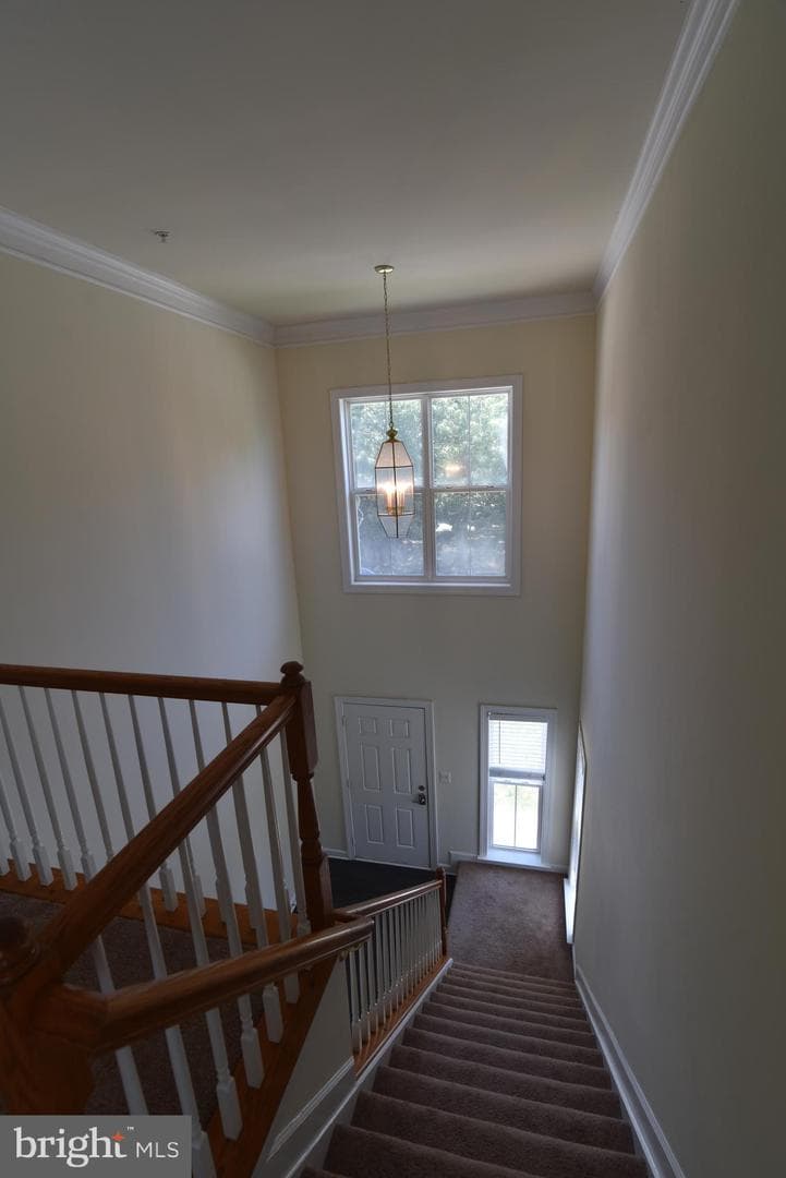 139 Hokeland Drive photo 60