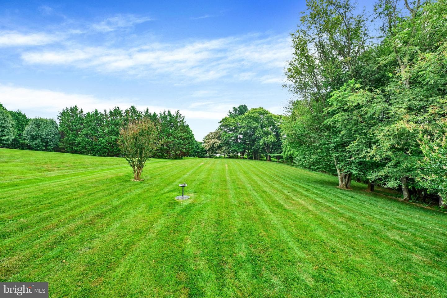 2003 Fallston Valley Drive photo 45
