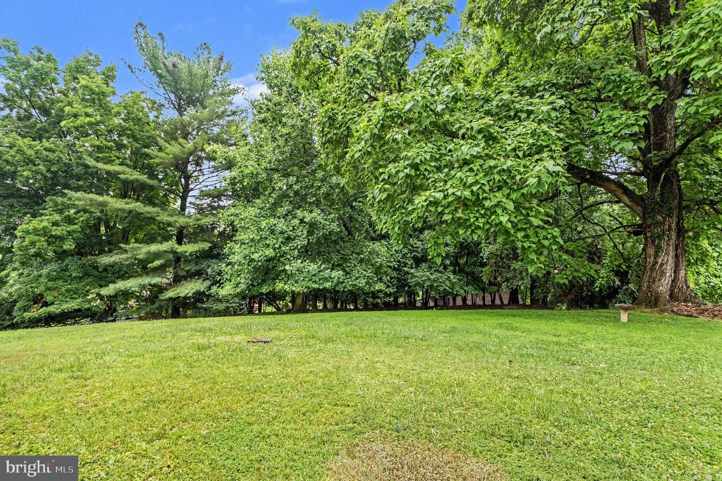 213 Glenwood Road photo 45