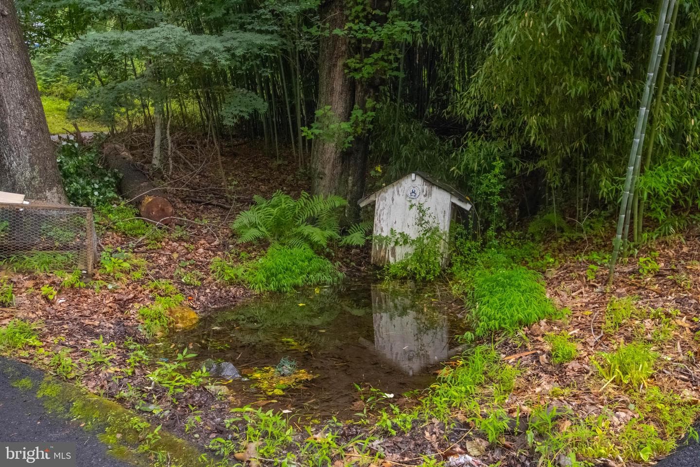 2525 Friendship Road photo 14