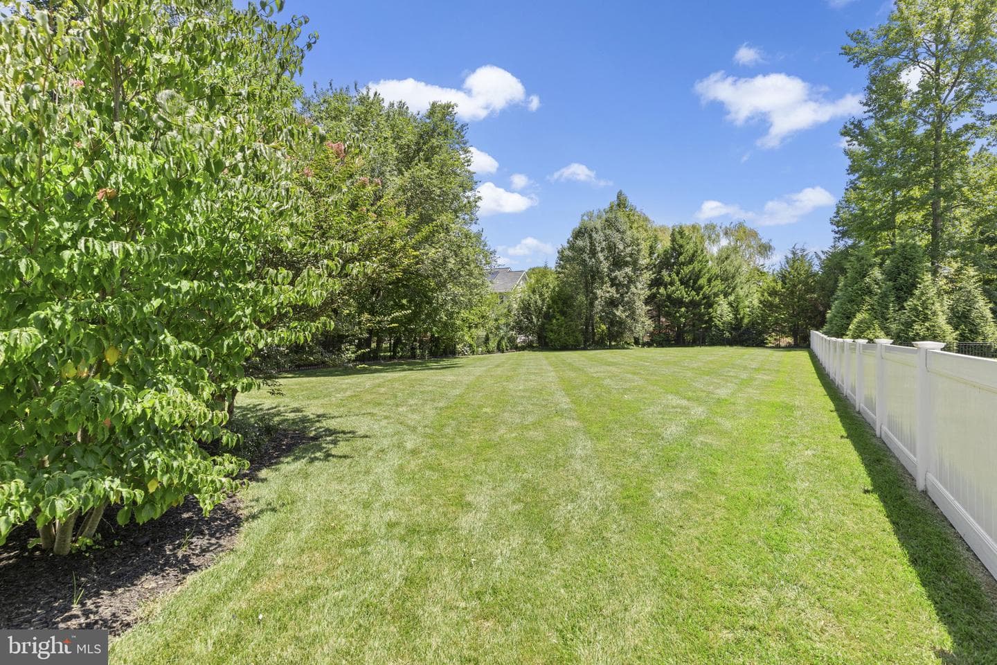 3603 Cogswell Court photo 52