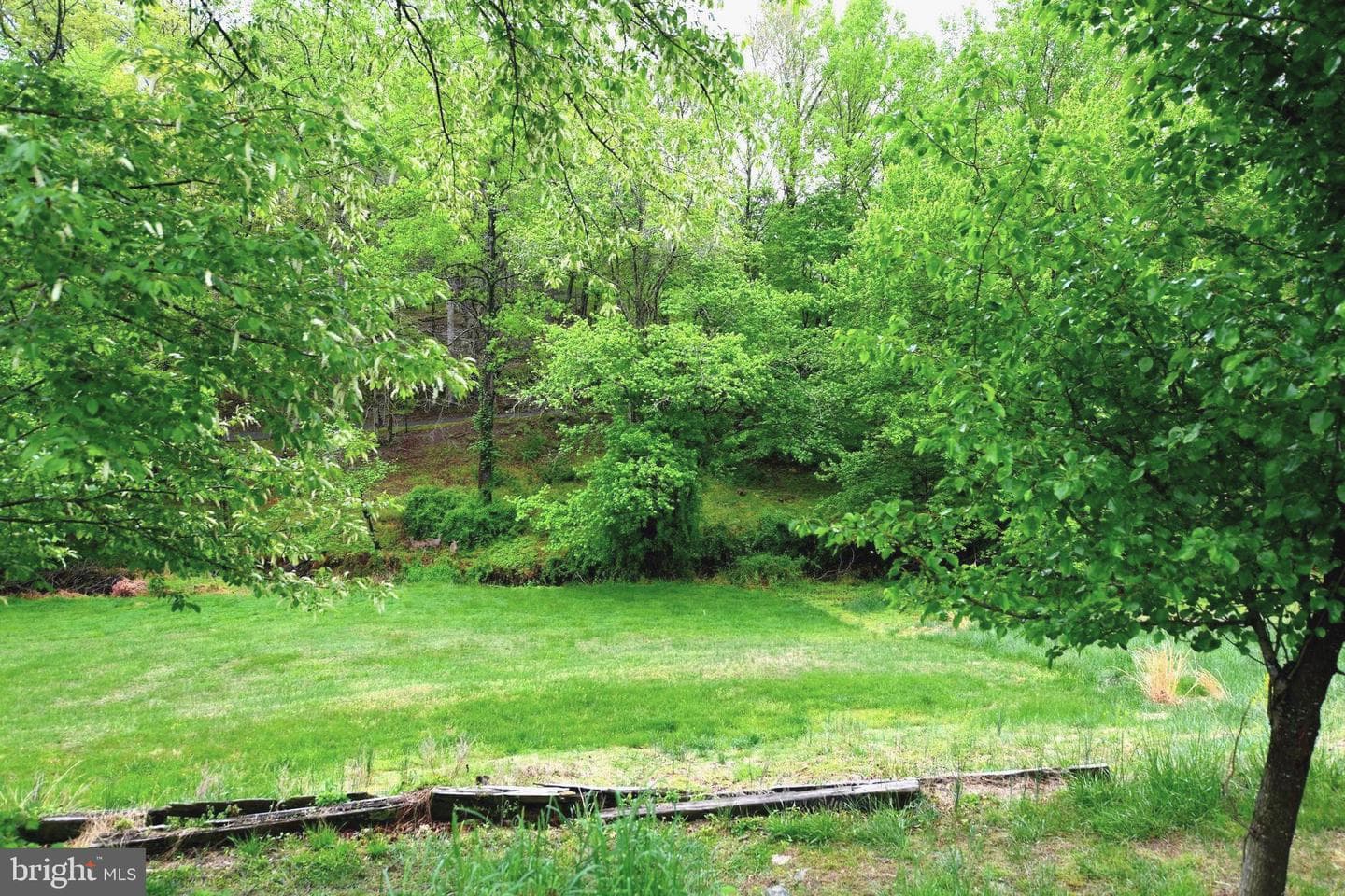 305 Rolling Knoll Drive photo 39
