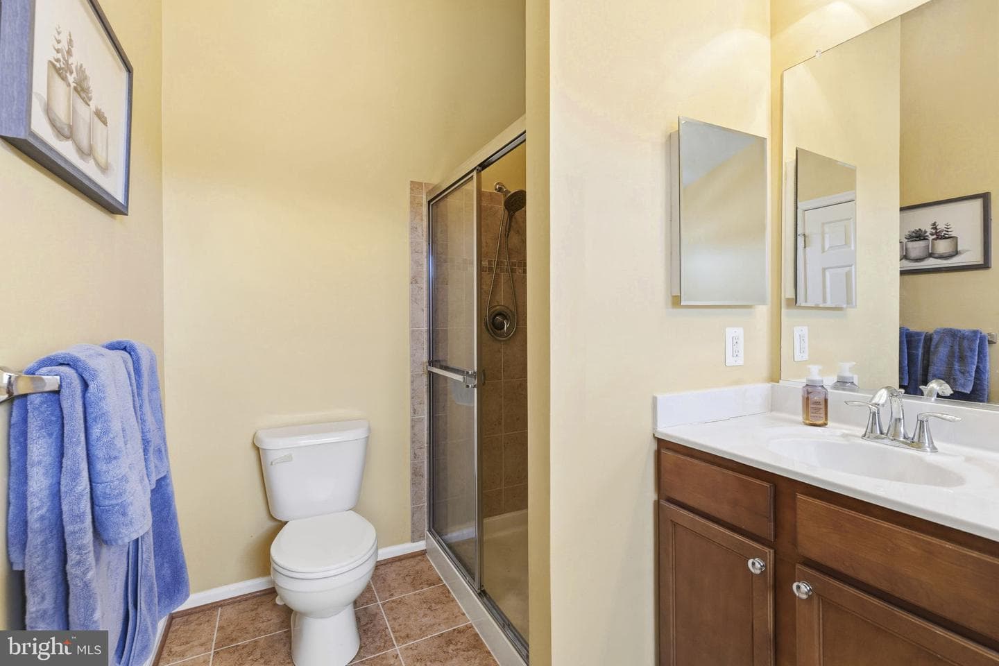 624 Snowberry Way photo 18