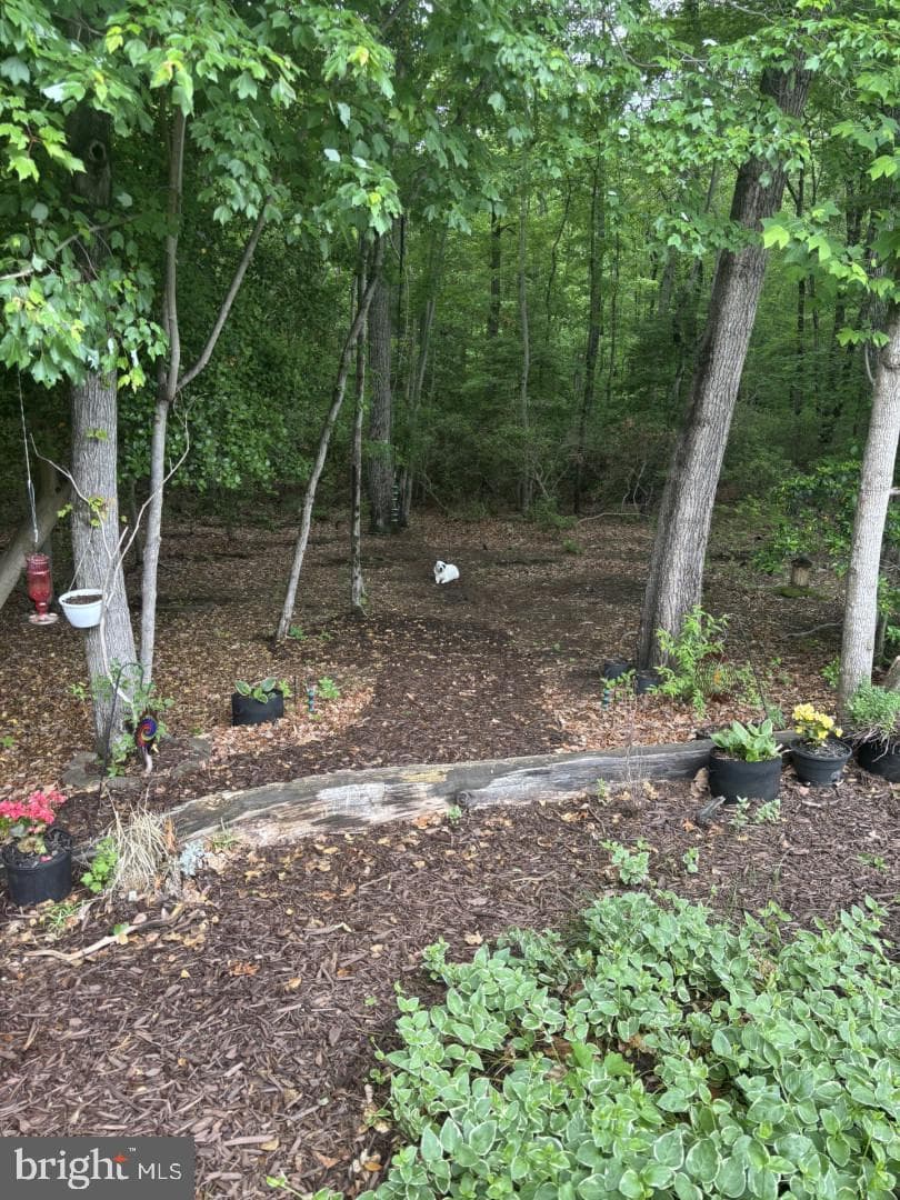 4233 Greys Run Circle photo 16