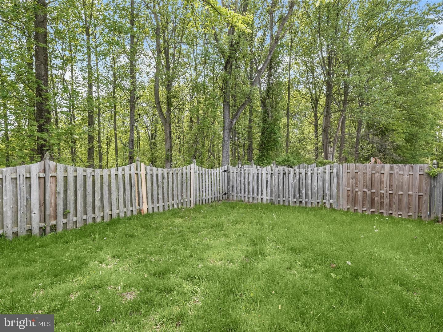 3541 Lower Mill Court photo 43