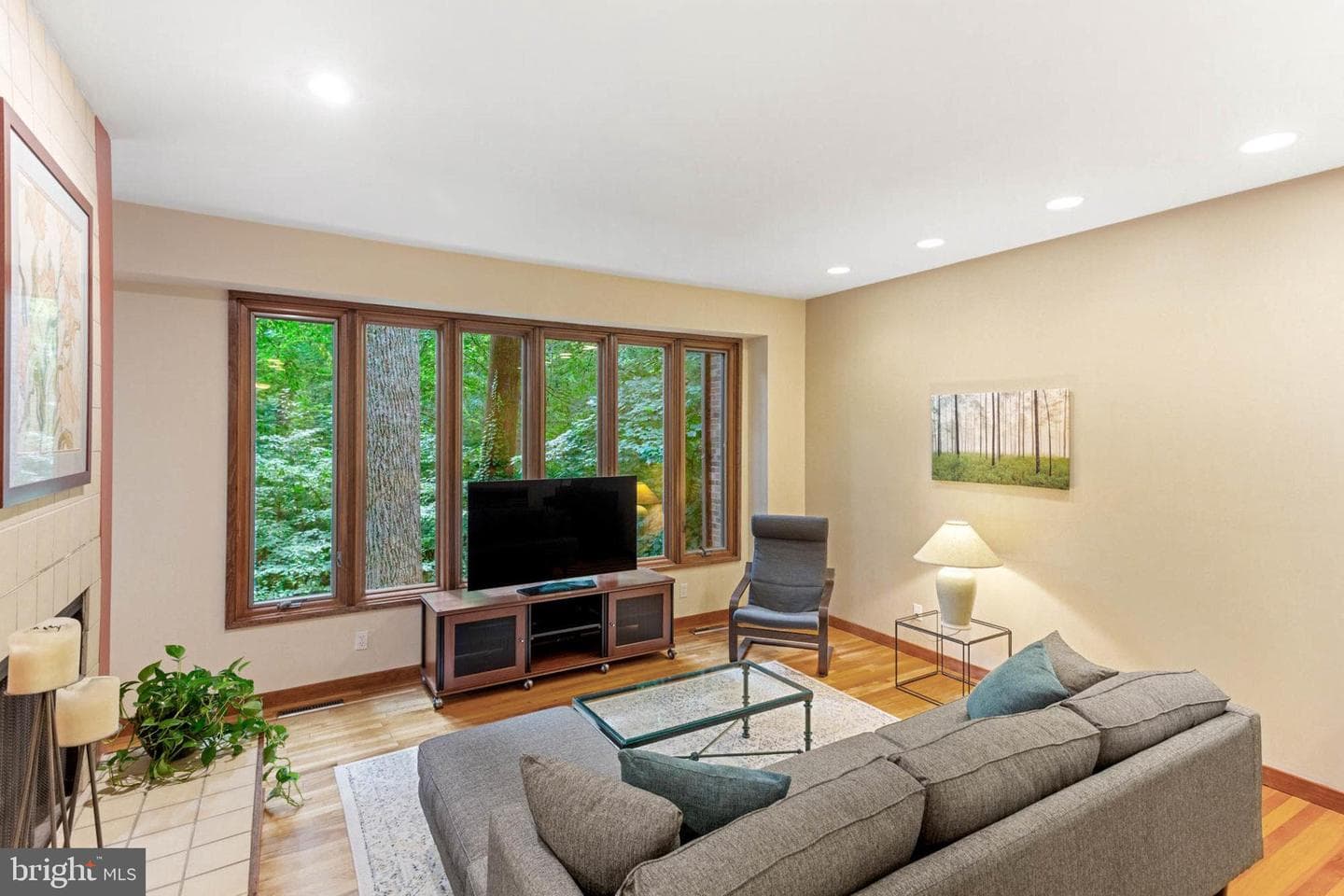 10386 Green Mountain Circle photo 16