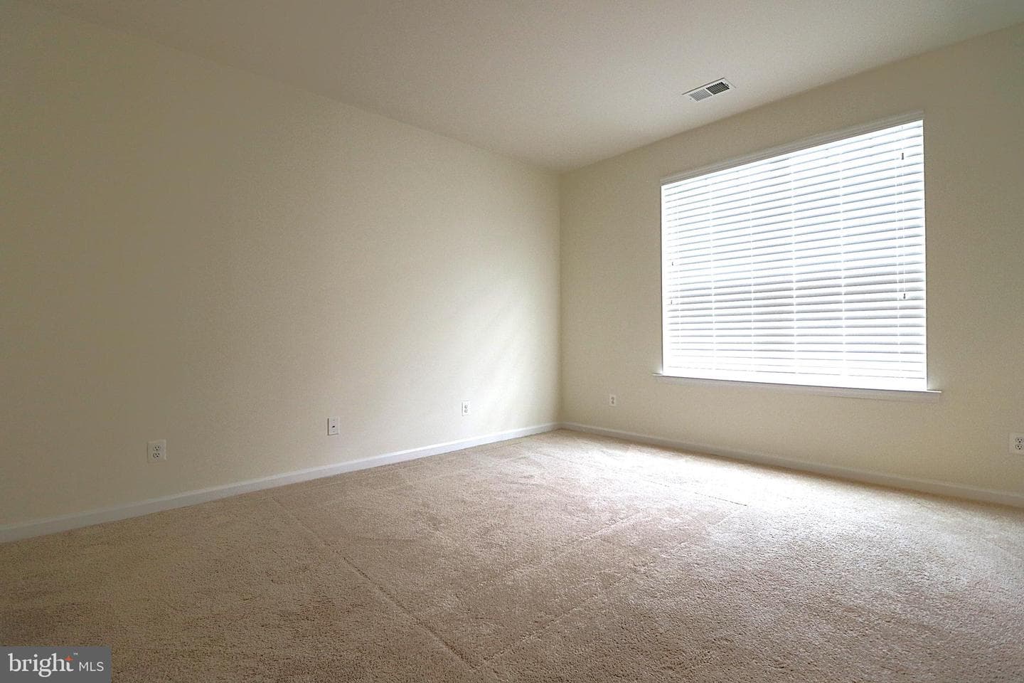7807 Orren Boyle Court photo 10