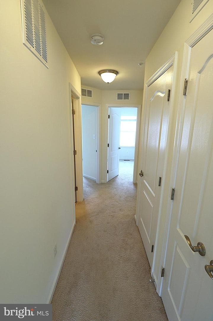 7807 Orren Boyle Court photo 14