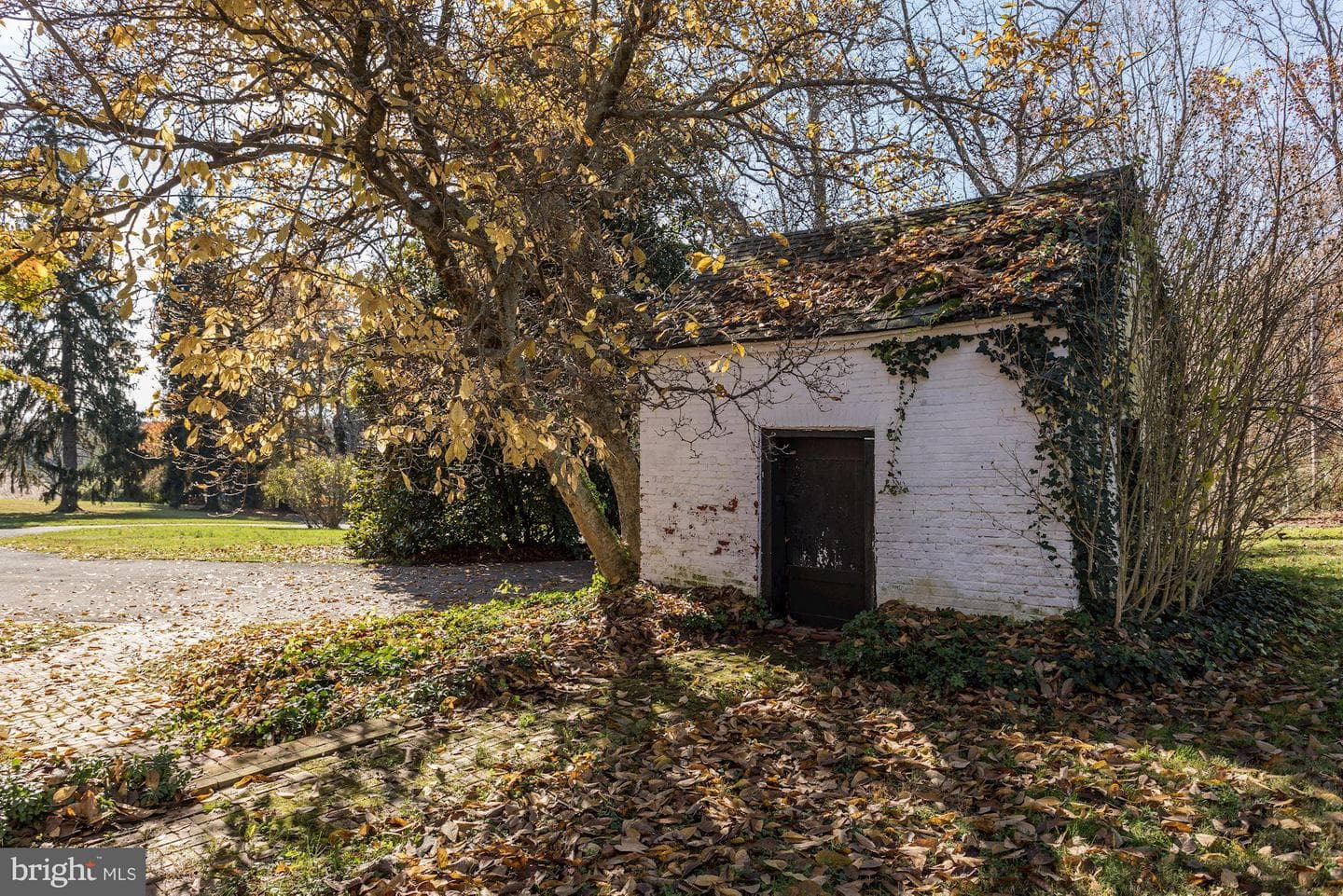 16449 Ed Warfield Road photo 89