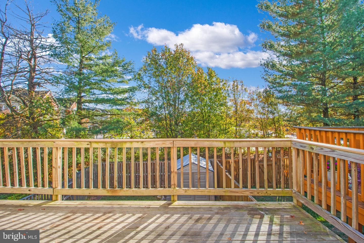 7208 Procopio Circle photo 13