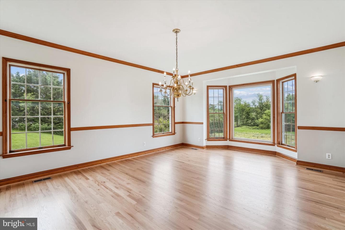719 Chessie Crossing Way photo 18