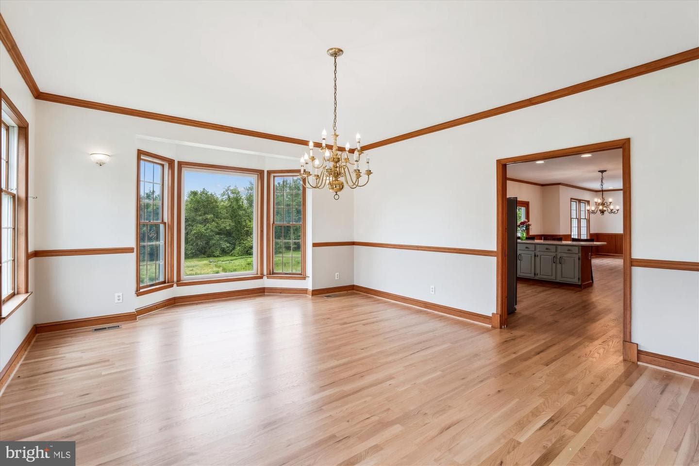 719 Chessie Crossing Way photo 20