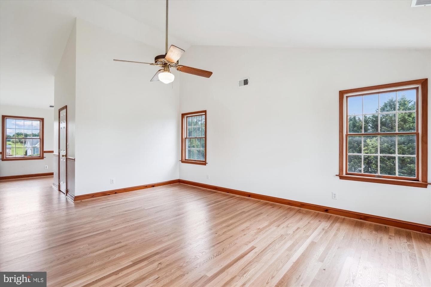 719 Chessie Crossing Way photo 48