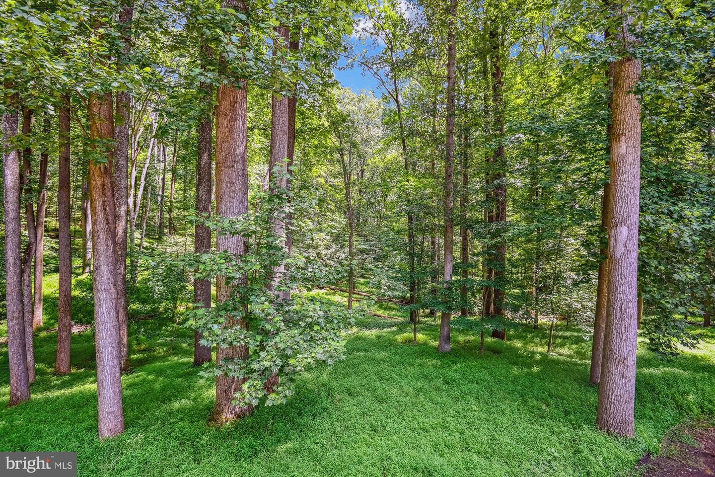 1209 Crystal Ridge Road photo 50