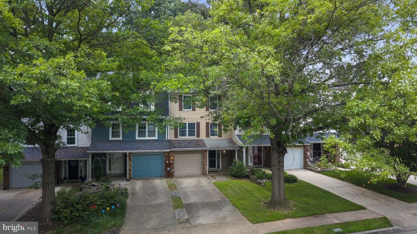 11705 Lone Tree Court photo 63