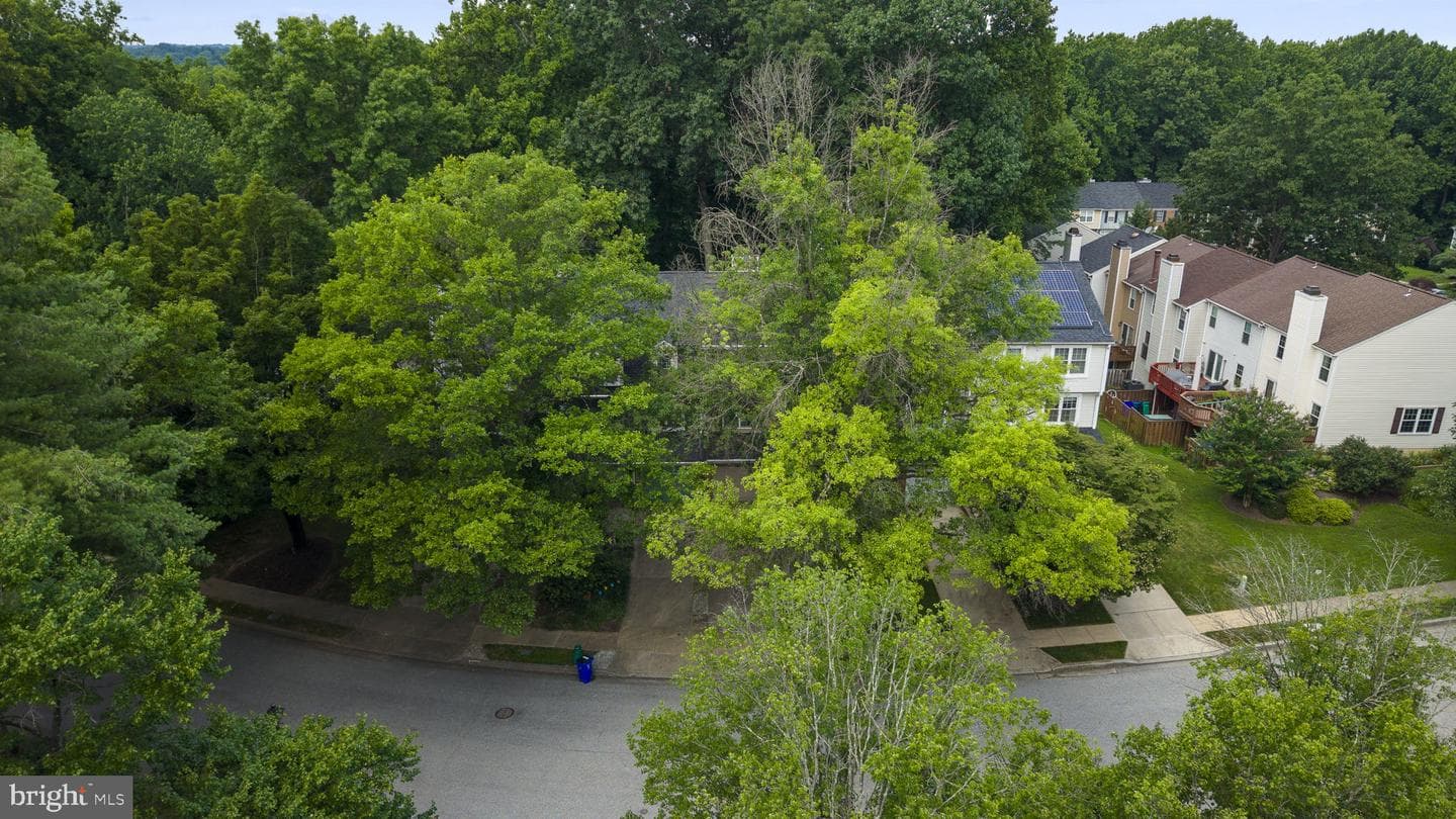 11705 Lone Tree Court photo 65