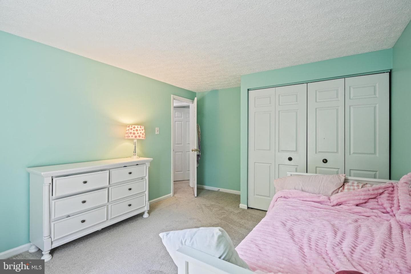10804 Terrier Court photo 25
